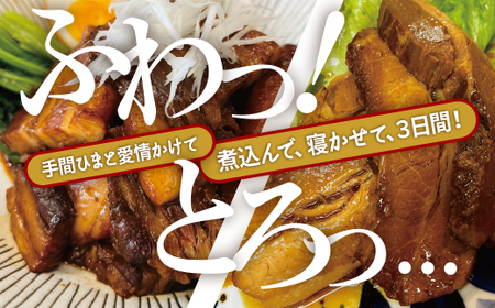 山形豚のチャーシュー 300g(100g×3個) 肉の中村 特製「頑固煮(叉焼豚 チャーシュー)」 保存料・着色料不使用 冷凍 山形豚 豚肉 豚バラ 煮豚 チャーシュー 個包装  小分け 冷凍 調理済