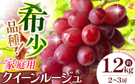 【先行受付】信州産 クイーンルージュⓇ家庭用 約1.2kg(2房～3房)