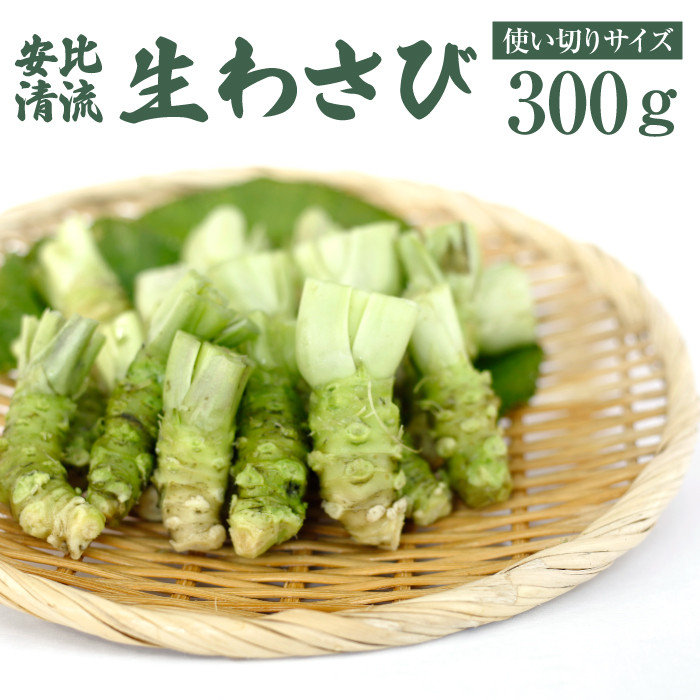 生わさび 使い切りサイズ 300g 【安比清流山葵園】 ／ わさび 山葵 ワサビ 生山葵 生ワサビ 新鮮 薬味 産地直送 国産 岩手県産