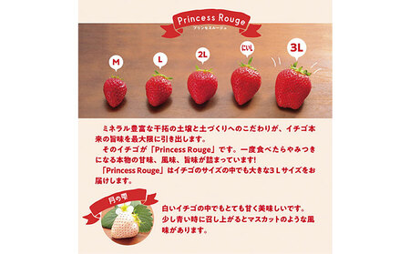 贈答用 白いちご～月のしずく～PREMIUM SIZE　いちご