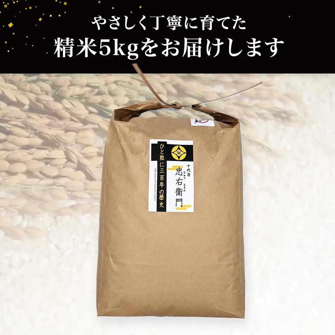 令和7年産 ＜ 6月出荷 ＞ 精米 5kg 三百年 続く農家 の 有機特別栽培米 コシヒカリ