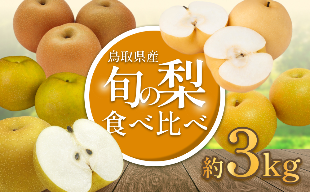 先行予約 品種はおまかせ2種類 旬の梨ミックス 3kg｜鳥取 果物 フルーツ なし 梨【41042】