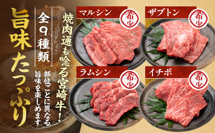 【数量限定】宮崎牛9種盛り焼肉セット_22-31-006-600g