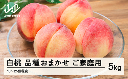 桃 約5kg 品種おまかせ 白桃