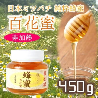 ふるさと納税 臼杵市 純粋・希少 臼杵産 日本蜜蜂のハチミツ(450g)百花蜜 蜂蜜 二ホンミツバチ 非加熱