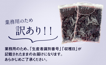 かの蜂 国産【 訳あり】 冷凍ブルーベリー2kg （1kg×2袋） 八女市産 ブルーベリー　024-026