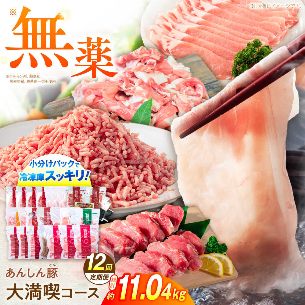 【ふるさと納税】【12回定期便】 あんしん豚 豚肉大満喫コース 計11.04kg ロース しゃぶしゃぶ テキカツ 小間切れ ミンチ 味付き ウインナー 豚 大容量 白川町 / 藤井ファーム[AWAF074]