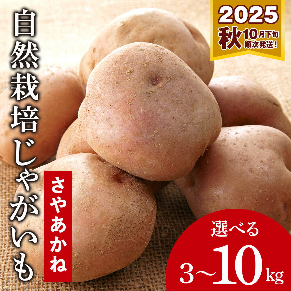 【ふるさと納税】「2025年秋発送」自然栽培じゃがいも★道産子「さやあかね」選べる3kg～10kgいも 芋 じゃがいも 野菜 有機 北海道ふるさと納税 積丹町 ふるさと納税 北海道 野菜 有機野菜 無農薬 オーガニック 通販 ギフト 贈答品 贈り物