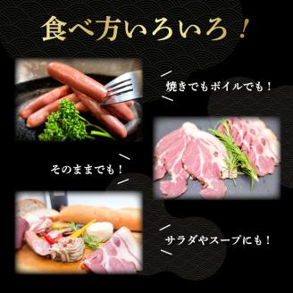 熟成ジビエ 燻製セット 6種 小分け 冷凍 猪肉 鹿肉 ベーコン ハム ソーセージ ジャーキー 燻製 スライス 熟成肉