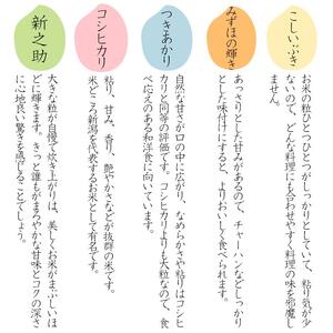 令和7年度産　上越市産つきあかり　5kg×6回定期便　新米　精米　新潟　米　新潟県　つきあかり　限定　定期便　おすすめ