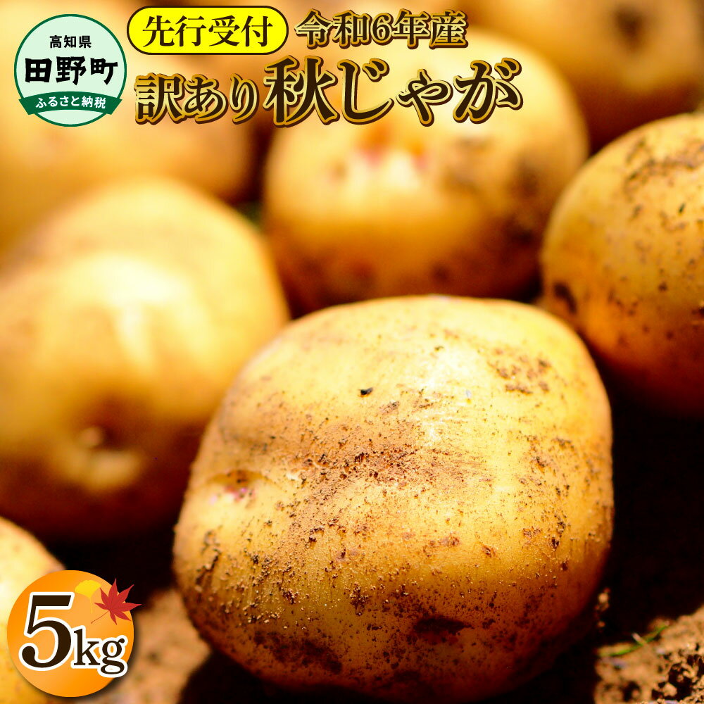 【ふるさと納税】《令和7年11月中旬から順次発送》 〜四国一小さなまちのじゃがいも〜　高知県田野町の大野台地で採れた令和7年産『秋じゃが 』5kg 訳アリ品！　大野台地 秋じゃが じゃがいも デジマ イモ ジャガイモ 芋 いも 訳あり 訳 ポテト 旬 野菜