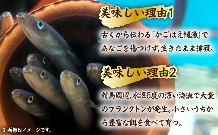 骨まで食べる 白焼き あなご （5袋）【うえはら株式会社】穴子 白焼 海鮮 国産 フワフワ 魚介 特産物 [WAI020]