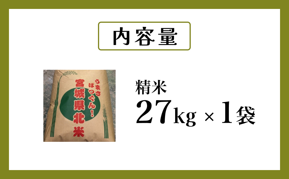 令和6年度産 ササニシキ精米２７kg 精米 お米 米 ごはん ご