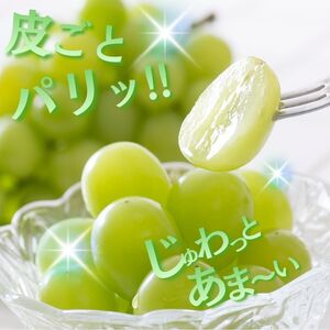 【令和８年分 先行予約】シャインマスカット 約1kg《山本観光ぶどう園》