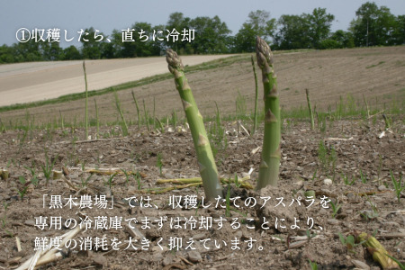 【令和9年産先行予約 】グリーンアスパラ M～Lサイズ 1kg アスパラガス 黒木農場 北海道 美瑛