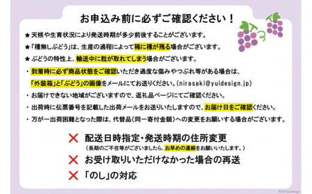 訳あり 山梨県産 種なし ぶどう 500g×4p 約2kg [梨北農業協同組合 山梨県 韮崎市 20743331] ブドウ 葡萄 規格外 家庭用 食べ頃 旬 フルーツ 果物
