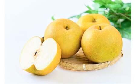 鳥取県だけで作られている幻の梨 新甘泉 【鳥取県産】（小玉）５kg（生橋農園） 梨 果物 フルーツ