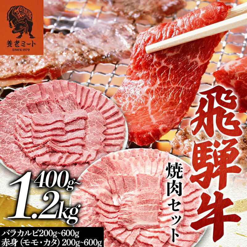 【ふるさと納税】＼ 選べる容量 ／ 飛騨牛 焼肉セット 400g・800g・1.2kg 焼肉 BBQ 牛肉 和牛 肉 霜降り バラカルビ 赤身 モモ カタ 詰め合わせ ギフト 御祝 内祝 2人前 4人前 6人前 大容量 岐阜県 坂祝町 養老ミート F6M-393var