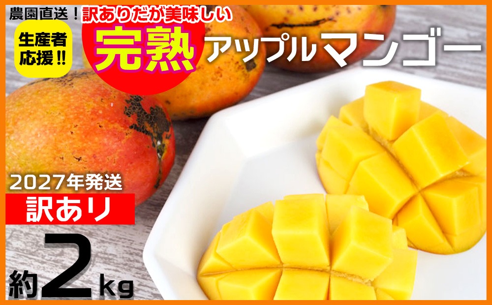 【2027年発送】生産者応援！！訳ありだが美味しい完熟アップルマンゴー約2kg 農園直送！