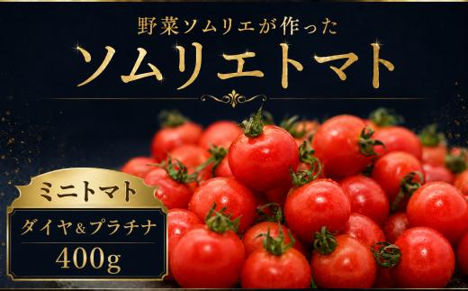 【特別栽培農産物】ソムリエミニトマト・プラチナ&ダイヤ 400g | 野菜 やさい トマト とまと 銀賞 熊本県 玉名市