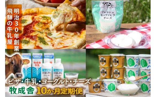 
            【全10回定期便】毎月お楽しみ10か月企画（ピザ・牛乳・チーズ・ヨーグルト）｜乳製品 詰合せ デザート 惣菜 乳飲料 牧成舎 DF234
          