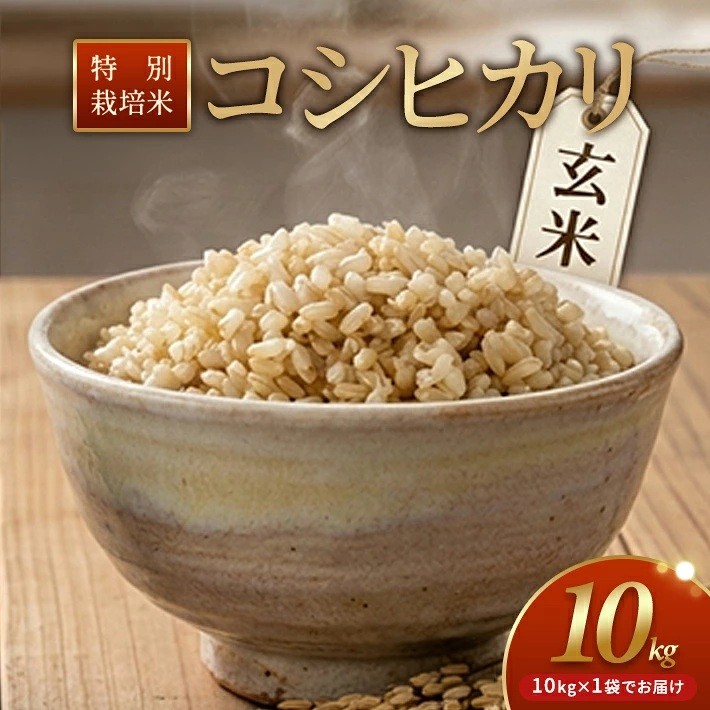 
                  特別栽培米 コシヒカリ 10kg 玄米 令和8年産 山形県産 10月より順次発送 東北 山形県 遊佐町 庄内地方 米 お米 庄内米 ブランド米 精米 ご飯 ごはん 産地直送 農家直送
                
