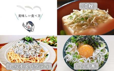 しらす 釜揚げ 500g 5月から12月中旬まで発送