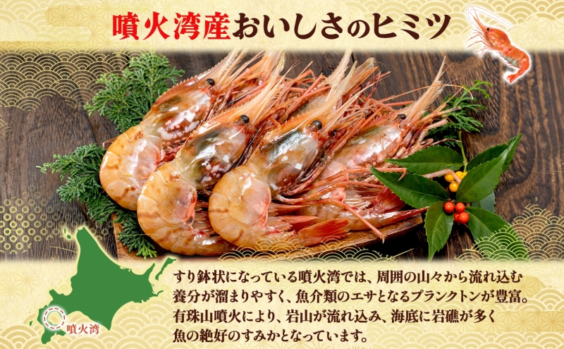 北海道 噴火湾産 冷凍ボタンエビ 中サイズ 計800g 34～40尾 ボタンエビ エビ えび 海老 北海道産 旬 ぼたんえび 刺身 牡丹海老 海鮮 魚介 甲殻類 味噌汁 鍋 海鮮丼 冷凍 洞爺湖町