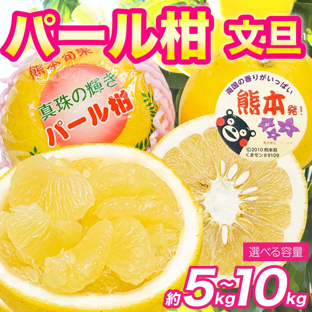 【ふるさと納税】 先行予約 パール柑 文旦 秀品 選べる容量 約5kg（6～18玉） 約10kg（12～36玉） 【2027年2月上旬～2027年3月下旬発送予定】ぱーるかん ぶんたん 果物 フルーツ くだもの 柑橘 柑橘類 グレープフルーツ 国産 熊本 産地直送 高品質 日本フルーツ