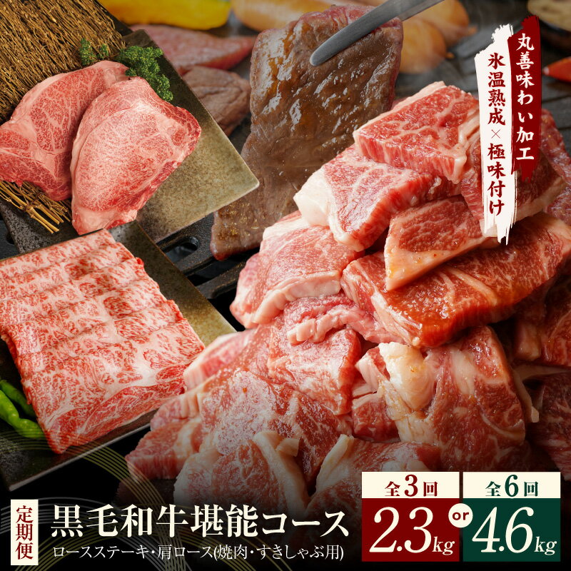 【ふるさと納税】黒毛和牛 選べる 定期便 3回 / 6回 ステーキ 焼肉 すき焼き しゃぶしゃぶ 丸善味わい加工 毎月配送コース ロースステーキ 肩ロース 肉 泉佐野市 送料無料 氷温熟成牛 牛肉 熟成肉 氷温熟成 作り方 ふるさと納税オリジナル 限定 肉の泉佐野