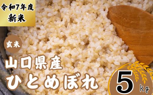 【先行予約／令和7年度新米】 ひとめぼれ 5Kg ［玄米］［山口県宇部産］ 【令和7年度 新米 ひとめぼれ 5Kg 玄米 山口県産 宇部産 地元米 農家直送 宇部市産 美味しい お米 寒暖差 霜降山麓 綺麗な水 高品質米 新鮮米 収穫直後 国産米 ご飯 炊き立て 美味しさ長持ち】