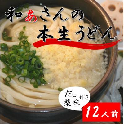ふるさと納税 美馬市 和ぁさんのおうどん　いたれりつくせりセット12人前(薬味付き)