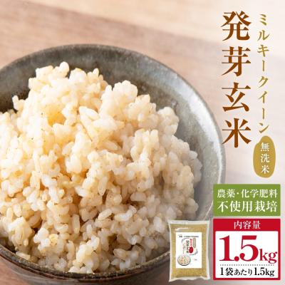 ふるさと納税 玖珠町 栽培期間中農薬・化学肥料不使用 発芽玄米 (大分県産ミルキークイーン) 1.5kg×1袋 無洗米