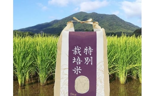 新米先行予約！令和7年産【定期便/年10回】農薬不使用の玄米「4種の特別栽培米」 5kg×10回定期便【田野のおいしいお米】_HB0118