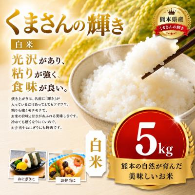 ふるさと納税 玉名市 【熊本県産】 くまさんの輝き 白米 5kg