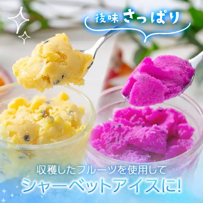 鹿児島県産 フルーツ シャーベット アイス 計12個 90g×各6個 パッションフルーツ レッドドラゴンフルーツ はまうえ果樹園 No.627 