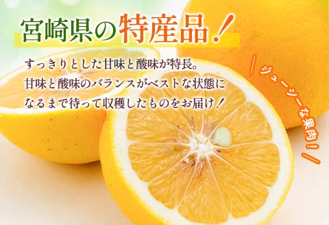 酸味と甘味は恋の味 数量限定 恋する 日向夏 計3kg以上 オリジナル ブランド 果物 フルーツ くだもの 期間限定 デザート 国産 食品 柑橘 みかん オレンジ おすそ分け お取り寄せ グルメ ご褒