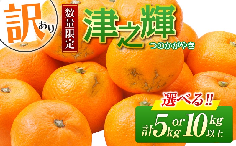 
            ≪内容量が選べる≫ 先行予約 訳あり 津之輝 つのかがやき 希少 期間限定 数量限定 フルーツ 果物 くだもの 柑橘 みかん 令和8年発送 国産 食品 おすすめ デザート おやつ みかんジュース フルーツサンド ご家庭用 おすそ分け 宮崎県 日南市 送料無料_S-BB86-23
          