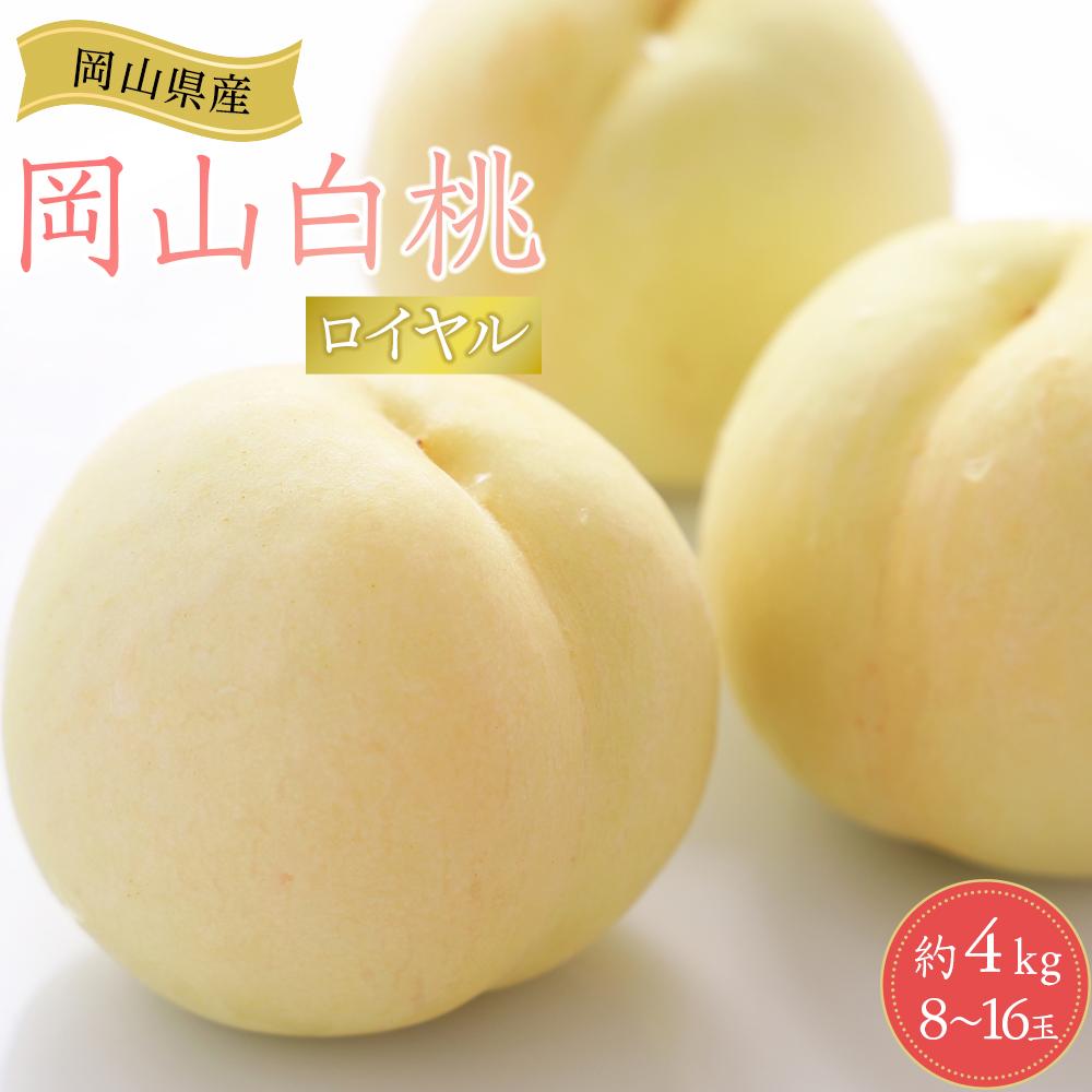 【ふるさと納税】岡山県産 桃 岡山白桃 2026年 ロイヤル 約4kg（8～16玉）もも モモ フルーツ 果物 ギフト | モモ momo 白桃 詰め合わせ おかやま 岡山県 岡山市 フルーツ お取り寄せ 国産 送料無料 おすすめ 人気 フルーツ
