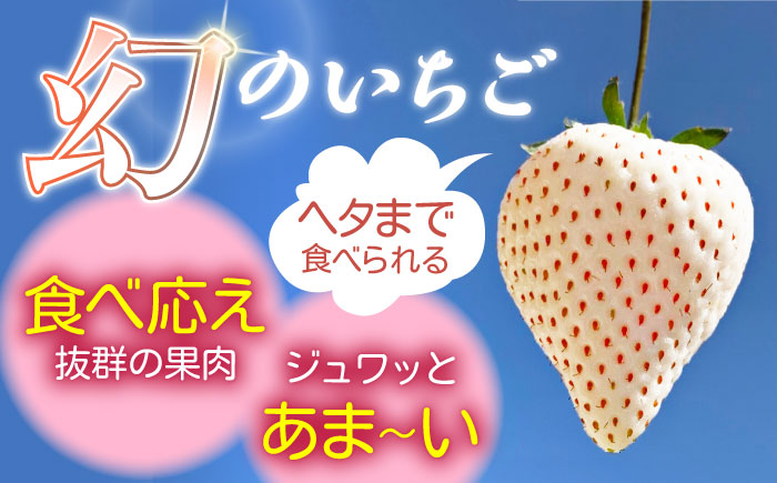 【令和6年分先行予約】【幻の白いちご】【化粧箱入り】白い宝石（贈答用）約450g / いちご 苺 白いちご フルーツ 果物 贈答用 / 佐賀県 / 手島農園 [41ABAB005]