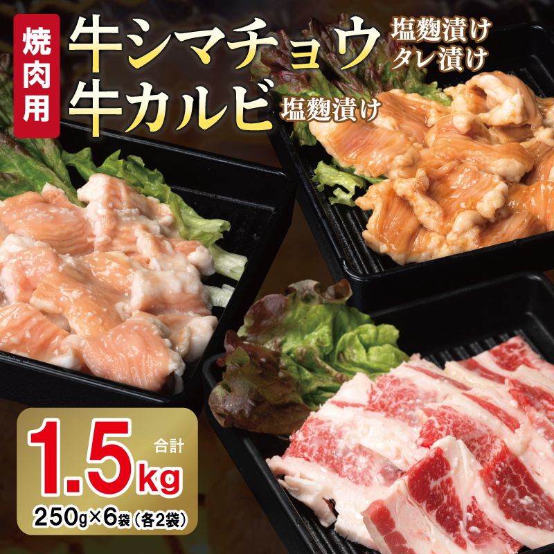 牛シマチョウ（タレ漬け+塩麹）＆塩麹漬け牛カルビの焼肉セット  合計1.5Kg（1袋250ｇ×各2袋） 【味付け 小分け 焼くだけ 簡単調理 BBQ 牛肉 ホルモン 250g×6袋】 010B1667