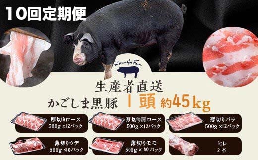 
MSR-601 【10回定期便】かごしま黒豚1頭まるごと 約45kg 生産者直送 薩摩八重ファーム 工房みかく亭
