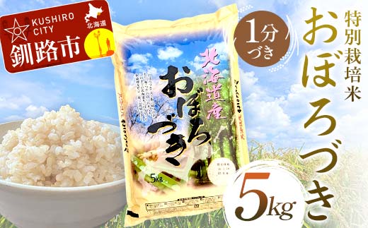 特別栽培米おぼろづき 5kg 1分づき 北海道産 米 コメ こめ お米 白米 玄米 通常発送 F4F-9805