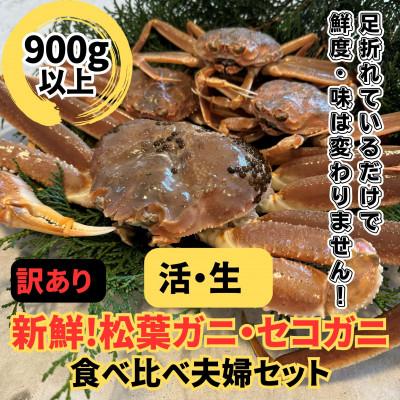 ふるさと納税 岩美町 鳥取網代港【訳あり】活!松葉ガニ1枚(900g以上)・セコガニ3枚セット【さかなや新鮮組】
