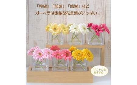 【ホットピンク】 マジカルウォーター ｢ ガーベラ スクエア ｣