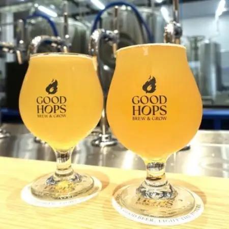 クラフトビール GOOD HOPS おまかせ 飲み比べ 12本 セット 缶ビール 詰め合わせ【配送不可地域：離島】【1702992】