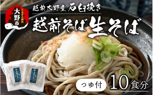 【そばランキング一位を獲得 内田製麺の生そば】 越前そば 10食入り 冷凍保存も可能で美味しさ長持ち