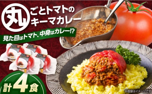 赤いとまて箱（丸ごとトマトの キーマカレー 4食）　【buyer\'s room2023 経済産業大臣賞受賞！】 カレー トマト 冷凍 白川町 / 一力屋 [AWAE001]