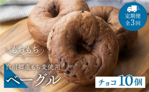 定期便 全3回 白川郷産 もち麦使用 ベーグル（チョコ）10個セット 42000円 [S788]