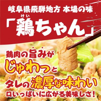 ふるさと納税 下呂市 【6ヶ月 定期便】萩屋ケイちゃん みそ味リピートコース (毎月 みそ味 230g×4)【10-A】 |  | 02